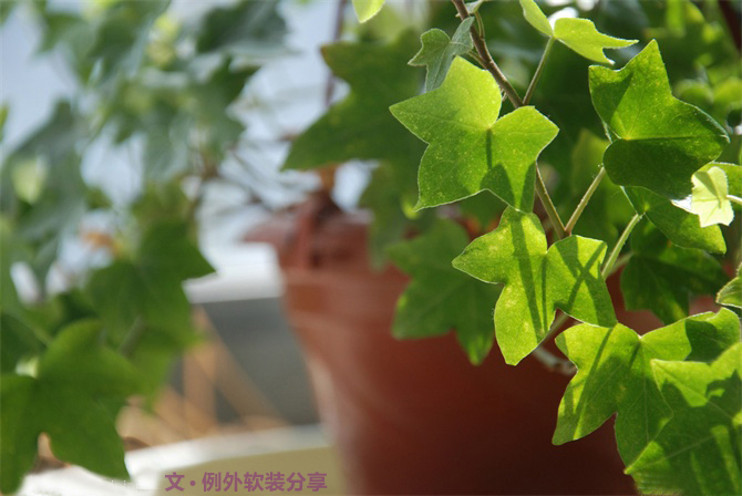 新房子裝修甲醛從哪里來？-別墅設計,軟裝設計,室內設計,豪宅設計,深圳例外軟裝設計公司