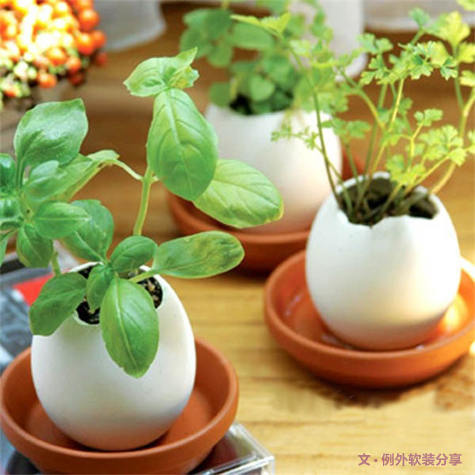 對(duì)于舊物家居設(shè)計(jì)師這樣用，給家添一抹生機(jī)！-別墅設(shè)計(jì),軟裝設(shè)計(jì),室內(nèi)設(shè)計(jì),豪宅設(shè)計(jì),深圳例外軟裝設(shè)計(jì)公司