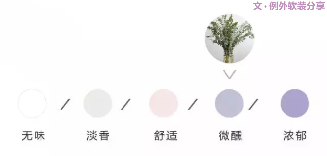 【例外.花箋記】尤加利，花藝界的百搭神葉-別墅設(shè)計(jì),軟裝設(shè)計(jì),室內(nèi)設(shè)計(jì),豪宅設(shè)計(jì),深圳例外軟裝設(shè)計(jì)公司